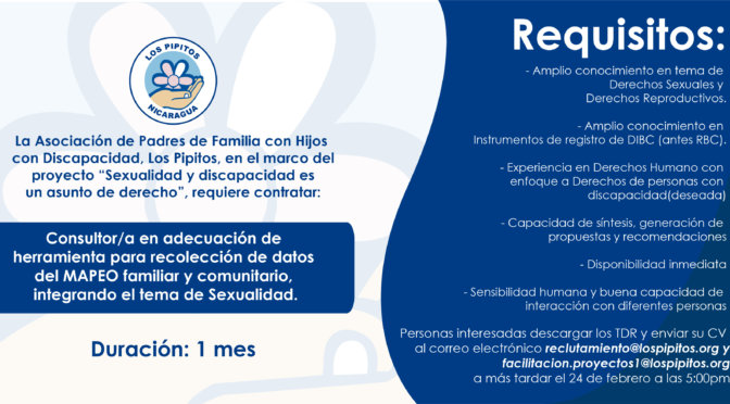 Vacante – Consultoría