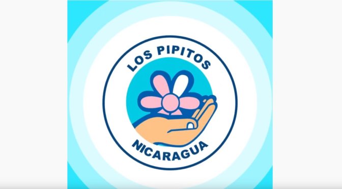 Conoce las Diversas Formas de Donar a Los Pipitos
