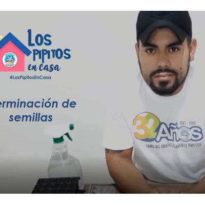 germinacion de semillas