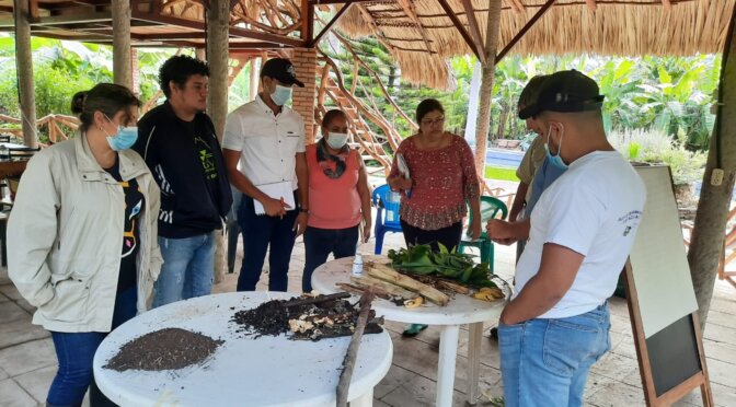 “Familias Pipitos producirán sus propios alimentos”.