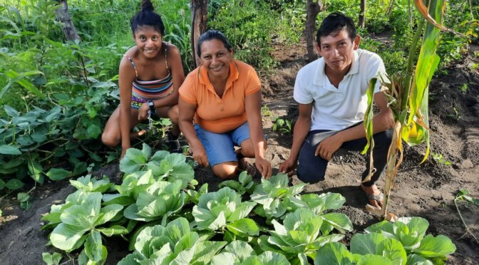 “FLORECIENDO EL PATIO CON VEGETALES”