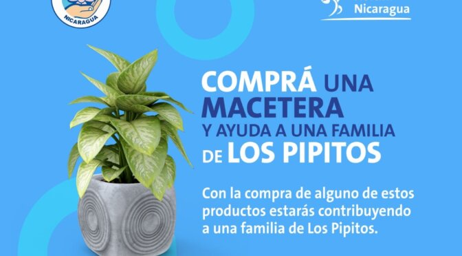 Les invitamos a disfrutar de este catálogo de Maceteras artesanales, elaboradas por jóvenes y Madres del Programa Adolescencia y Juventud de Los Pipitos.